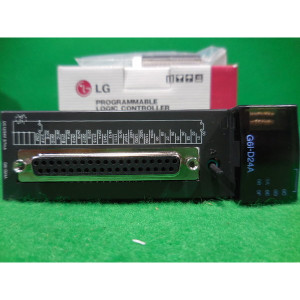 15353/입력단자/PLC/G6I-D24A/LG.LS